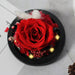 Enchanting Forever Rose Glass Cloche Lamp with Glowing Lights