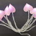 Enchanted Love Heart LED Fairy Lights: Premium String Lights for Elegant Occasions