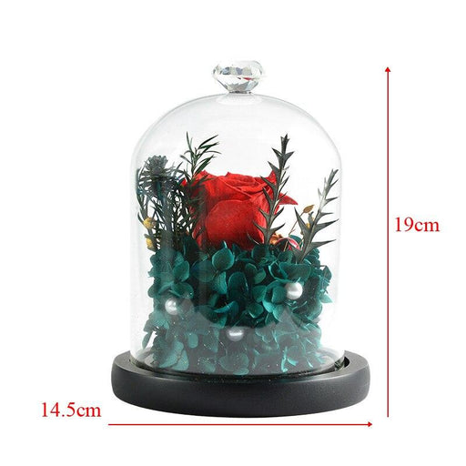 Immortal Real Rose Eternal Dried Flower in glass Dome For Christmas Valentine's Day Gift Romantic Wedding Decor Brithday Gifts-Home Décor›Flower & Plants›Everlasting & Preserved Fresh Flowers›Dried & Preserved Flora›Everlasting Flowers-Très Elite-Très Elite