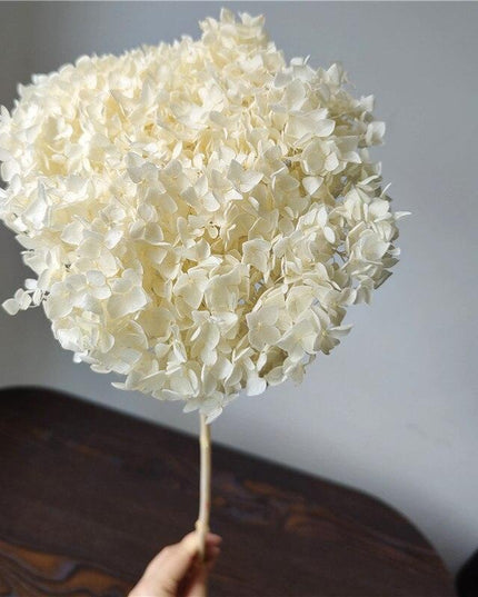 Hydrangea Elegance: Ultimate Dried Flower Arrangement Kit