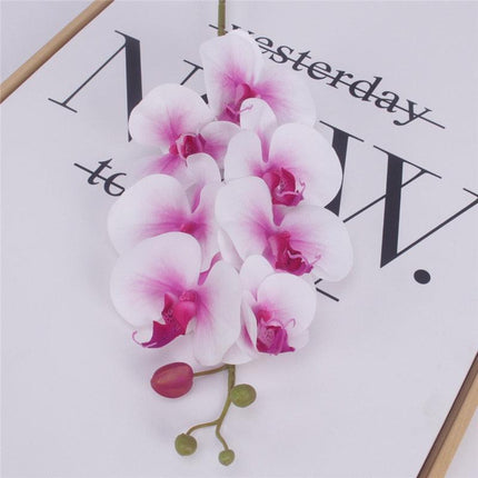 Elegant Phalaenopsis Orchid Arrangement in Pot: Enhance Your Home Decor