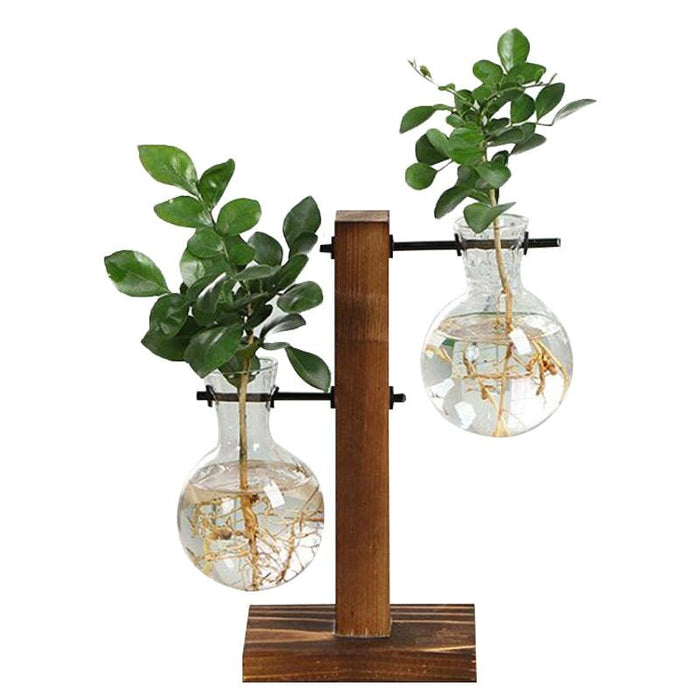 Vintage Glass Terrarium Plant Vases on Wooden Stand - Elegant Botanical Display for Home and Garden