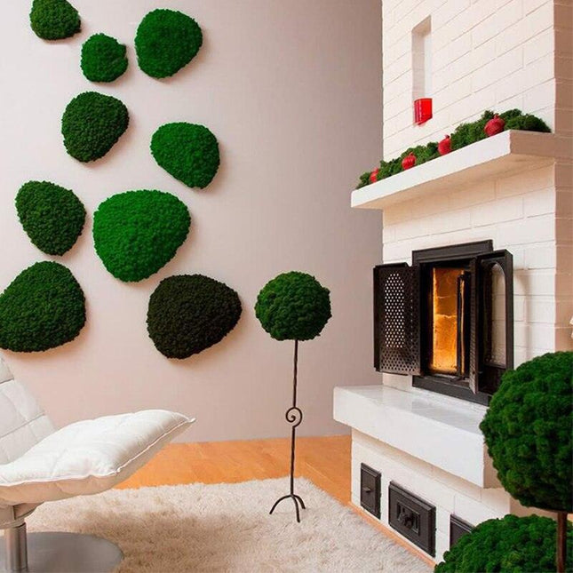 Lush Green Moss Wall Art: Nature's Timeless Beauty
