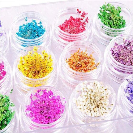 Botanical Elegance Nail Art Kit: Authentic Dried Flower Decoration Collection