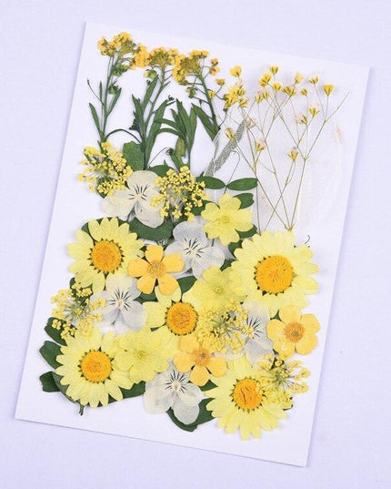 Luxurious Pressed Floral Collection: Aesthetic Inspirations for Creative Projects