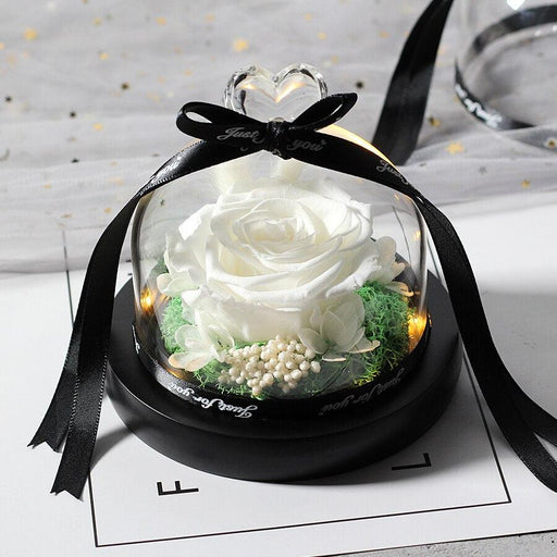 Exclusive Rose in Glass Dome with Lights Real Eternal Rose Beauty And The Beast Preserved Rose Mother&#39;s day gift Wedding-Home Décor›Flower & Plants›Everlasting & Preserved Fresh Flowers›Dried & Preserved Flora›Everlasting Flowers-Très Elite-white-Très Elite