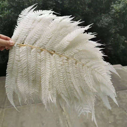 Eternal Green Fiddlehead Ferns Set - 10 Pieces (25x40cm)