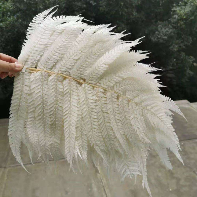 Eternal Green Fiddlehead Ferns Set - 10 Pieces (25x40cm)