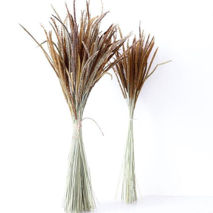 50-Stem Premium Dried Kirin Grass Bundle for Elegant Home Styling