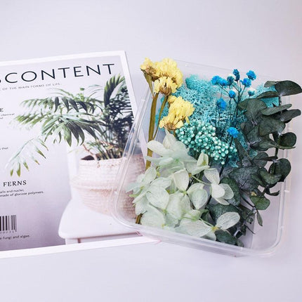 Eternal Floral Inspirations: Preserved Petals for Creative Expressions