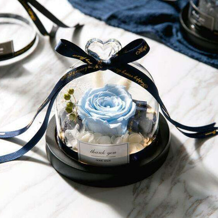 Enchanted Rose Glass Dome with Twinkling LED Lights