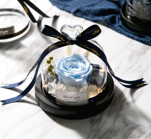 Enchanted Rose Glass Dome with Twinkling Lights