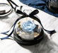 Enchanted Rose Glass Dome with Twinkling LED Lights