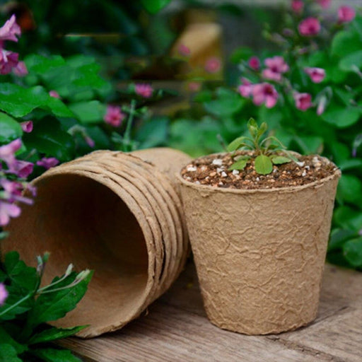 Organic Nursery Paper Peat Pots for Healthy Seedling Growth in Sustainable Gardening
