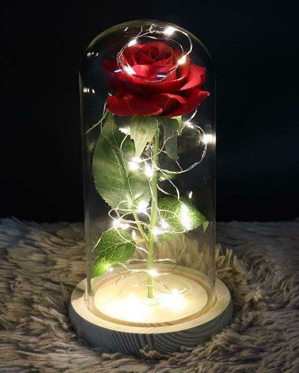 Timeless Elegance Red Pink Rose Glass Dome Display