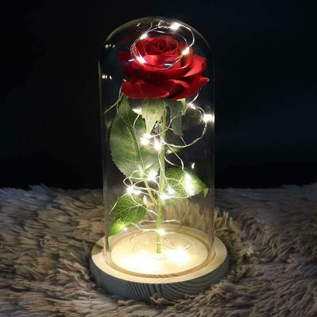 Timeless Elegance Red Pink Rose Glass Dome Display