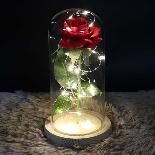Elegant Red Pink Preserved Rose in Glass Dome Display