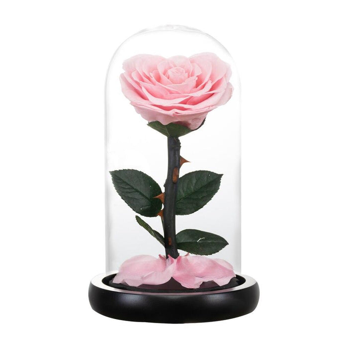 Eternal Glow Galaxy Rose: The Perfect Keepsake for Lasting Memories