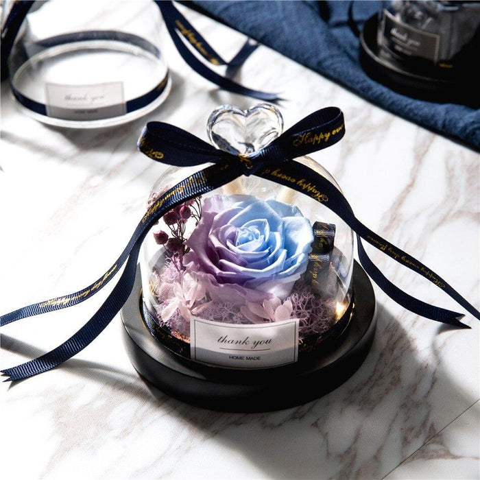 Eternal Love: Enchanted Rose for Romantic Moments