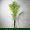 125cm  13 Leaves