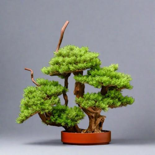 Chinese Style Simulation Visitor Bonsai Plant for Elegant Home and Office Decor