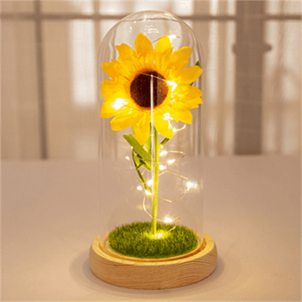 Magical Illuminated Rose in Glass Dome - Elegant Romantic Decor