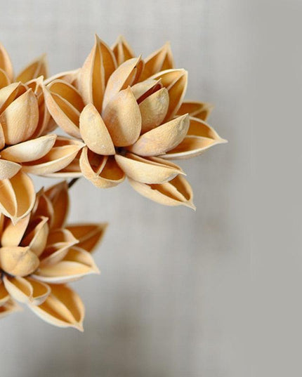 Luxurious Burgundy Dried Lotus Flower Head Set - 5 Exquisite Pieces for Home and Event Decor