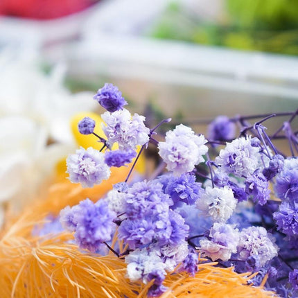 Eternal Floral Inspirations: Preserved Petals for Creative Expressions