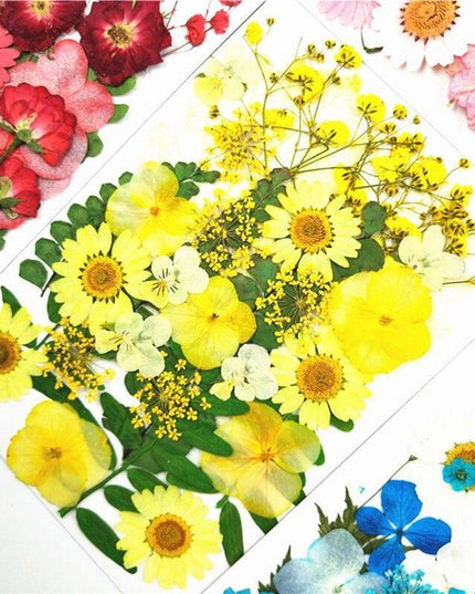 Luxurious Pressed Floral Collection: Aesthetic Inspirations for Creative Projects