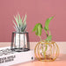 Nordic Elegance Handblown Glass Vase - Chic Decor Accent