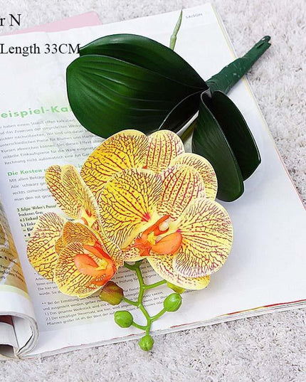 Elegant White Orchid Blooms for Upscale Home and Event Styling