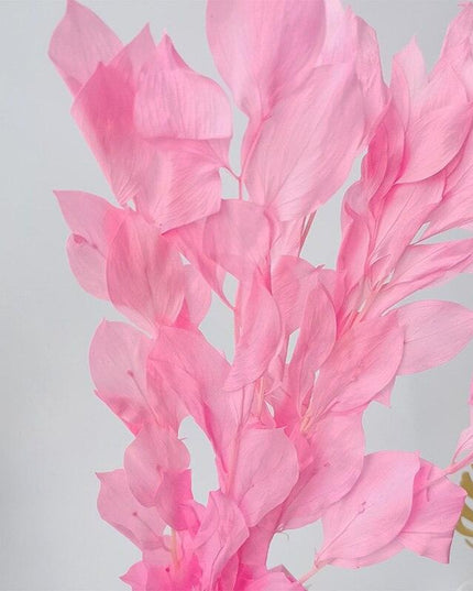 Timeless Elegance: Pack of 5 Preserved Orange Leaf Stems - Natural Floral Decor for Any Occasion