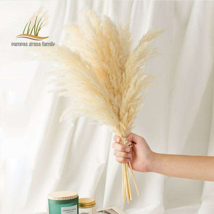 Elegant Vintage White Pampas Grass Bouquet - A Touch of Timeless Charm