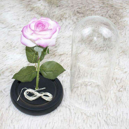 Timeless Elegance Red Pink Rose Glass Dome Display