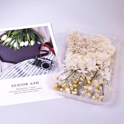 Eternal Floral Inspirations: Preserved Petals for Creative Expressions