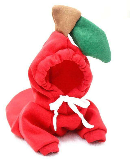 Chic Hooded Winter Jacket for Small Dogs - Fashionable Warmth for Tiny Tails