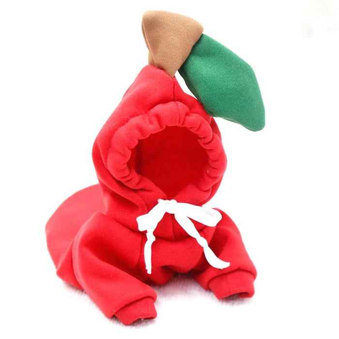 Colorful Hooded Fleece Dog Jacket - Stylish Winter Apparel for Small Dogs