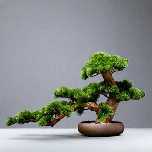 Chinese Style Simulation Visitor Bonsai Plant for Elegant Home and Office Decor