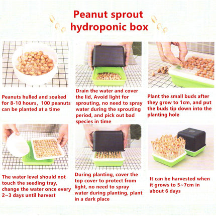 Hydroponic Peanut Sprout Growing Kit with Complete Tray System for Home Gardening