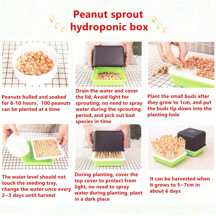 Hydroponic Peanut Sprout Growing System: Grow Fresh Nutritious Sprouts Easily