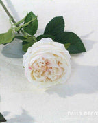 cream pink rose