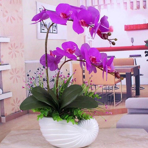 Sophisticated Realistic Orchid Potted Plant: Versatile Home Decor Accent