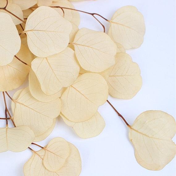 Eucalyptus Leaves Bouquet - Eternal Fragrance for Wedding & Home Aesthetics