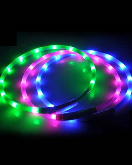 Illuminated USB Rechargeable Dog Collar for Optimal Night Safety and Visibility