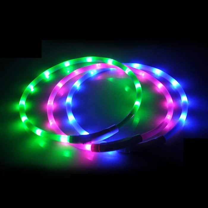 Nighttime Safety LED Collar with Convenient USB Charging