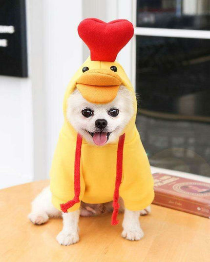 Chic Hooded Winter Jacket for Small Dogs - Fashionable Warmth for Tiny Tails