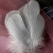 100-Piece Deluxe Goose Feather Assortment - Ideal for Wedding Decor, Fashion, and Artistic Creations