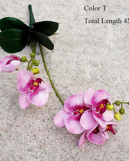 Elegant White Orchid Blooms for Upscale Home and Event Styling