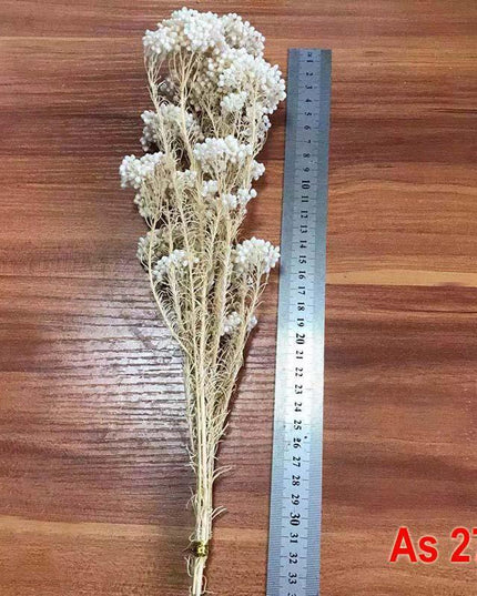 Timeless Treasures: Preserved Millet Flowers for Elegant Wedding Decor