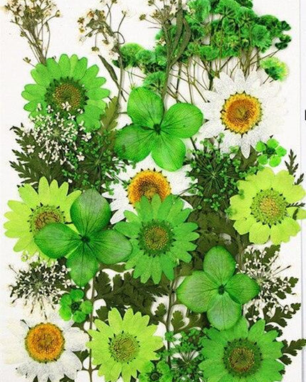 Luxurious Pressed Floral Collection: Aesthetic Inspirations for Creative Projects